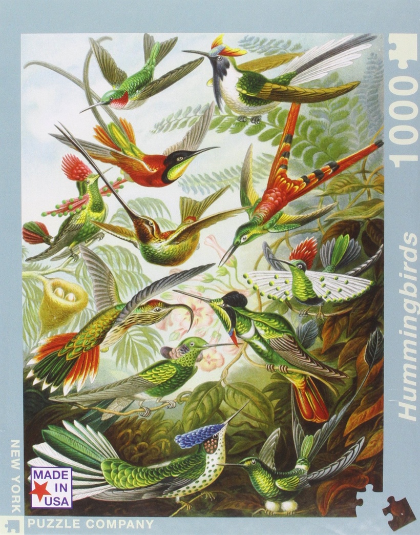 Hummingbirds 1000 Pieces Jigsaw Puzzle