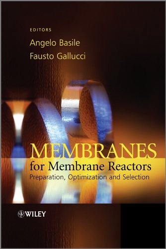 Membranes for Membrane Reactors: Preparation, Optimization and Selection