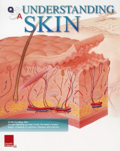 Understanding Skin