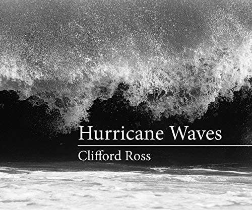 Hurricane Waves (The MIT Press)