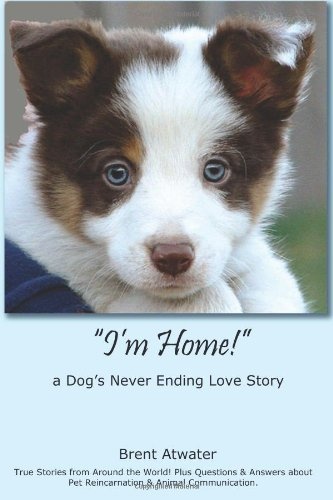 "I'm Home!" a Dog's Never Ending Love Story: Animal Afterlife, Pets Soul Contracts, Animal Reincarnation, Animal Communication & Animal Spirits