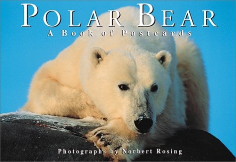 Polar Bear: A book of postcards (Firefly Postcard Book)