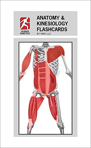Anatomy & Kinesiology Flashcards