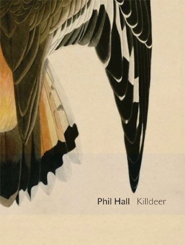 Killdeer: essay-poems (Department of Critical Thought)