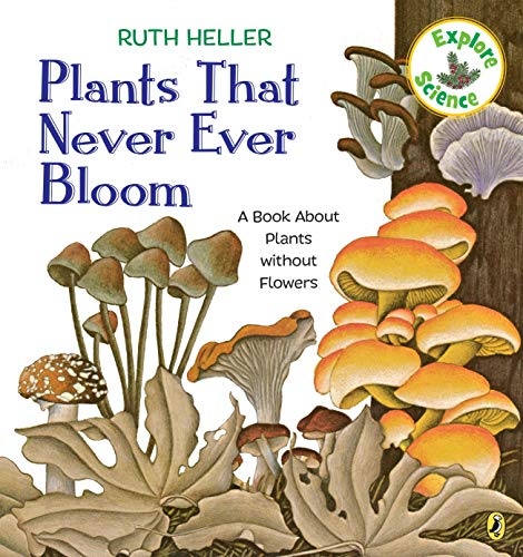 Plants That Never Ever Bloom: A Book About Plants without Flowers (Explore!)
