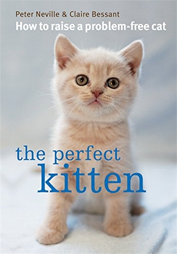 The Perfect Kitten. Peter Neville & Claire Bessant