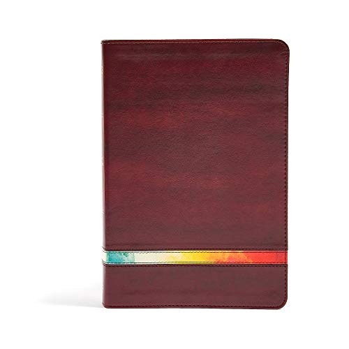 NIV Rainbow Study Bible, Maroon LeatherTouch, Indexed