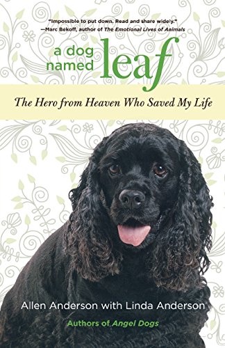 Dog Named Leaf: The Hero From Heaven Who Saved My Life