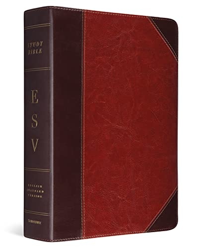 Study Bible-ESV-Portfolio Design