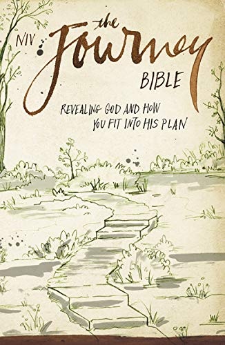 NIV the Journey Bible