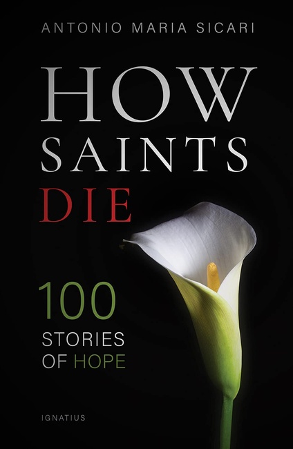 How Saints Die: 100 Stories of Resurrection