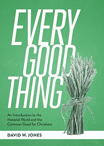 Every Good Thing: An Introduction to the Material World and the Common Good for Christians