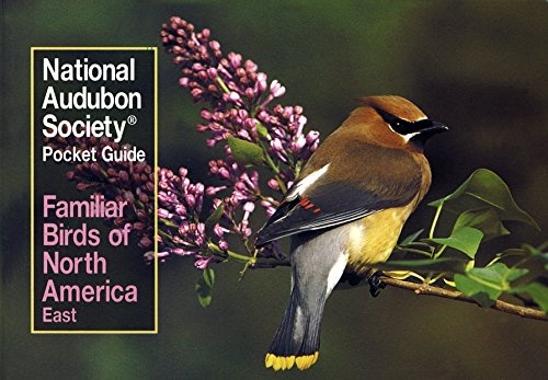 Familiar Birds of North America: Eastern Region (National Audubon Society Pocket Guides)