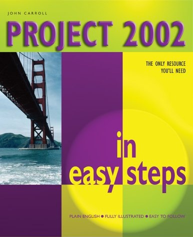 Project 2002 in Easy Steps
