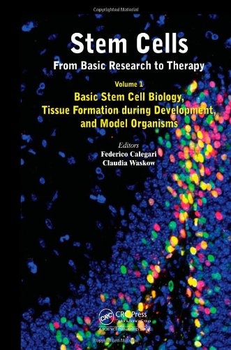 Stem Cells: From Basic Research to Therapy, Volume 1: Basic Stem Cell Biology, Tissue Formation during Development, and Model Organisms