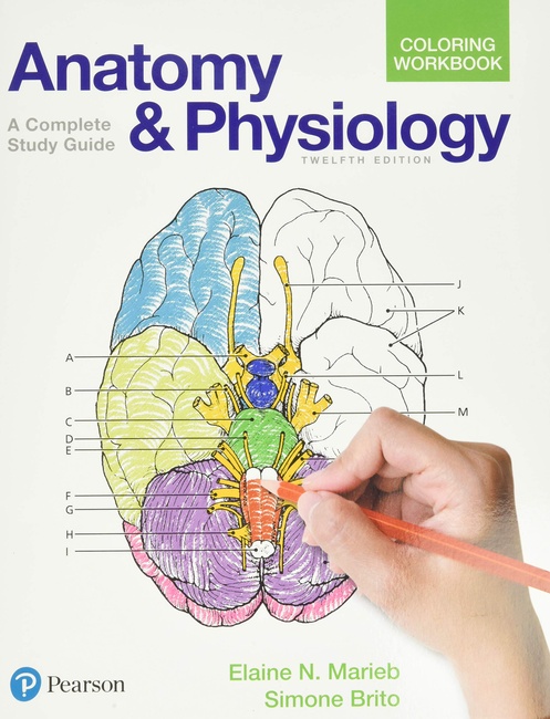 Anatomy and Physiology Coloring Workbook