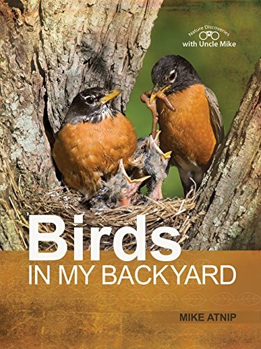 Birds in my Backyard