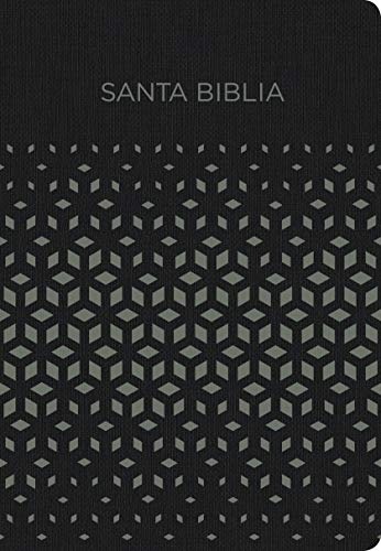 Biblia Nueva VersiÃ³n Internacional para Regalos y Premios. SÃ­mil piel, negro y plata / Gift and Award Holy Bible NVI. LeatherTouch, Black and Gray (Spanish Edition)