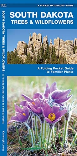 South Dakota Trees & Wildflowers: A Folding Pocket Guide to Familiar Plants (Wildlife and Nature Identification)