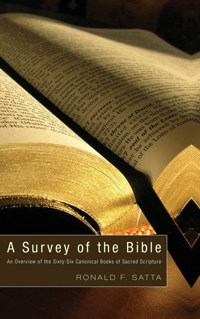 A Survey of the Bible
