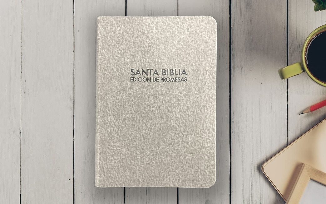 Santa Biblia de Promesas Reina Valera 1960 / Compacta / Piel especial color gris (Spanish Edition)