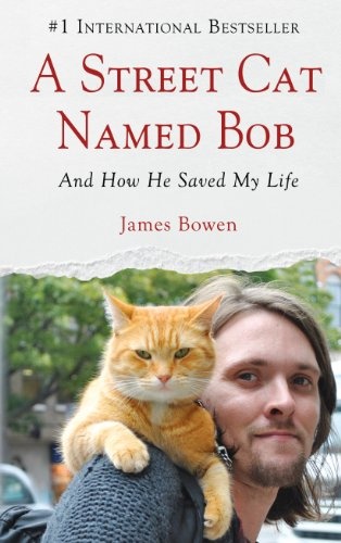 A Street Cat Named Bob: And How He Saved My Life (Wheeler Publishing large print)