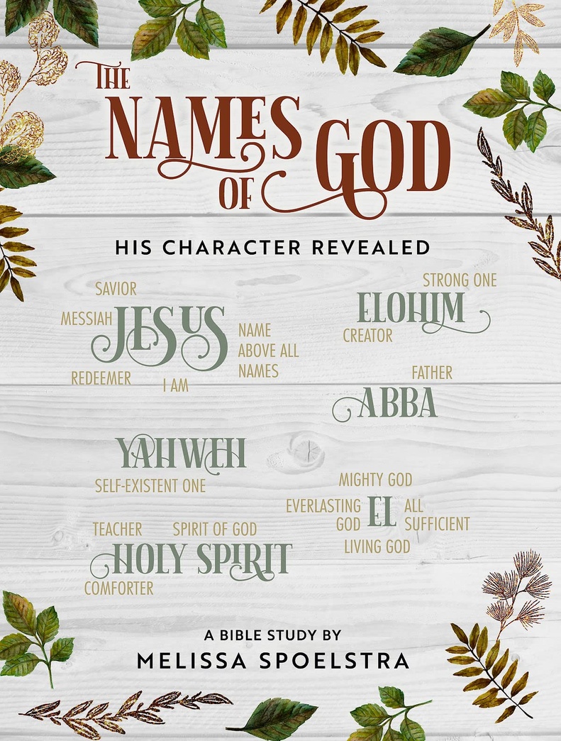 The Names of God - Women's Bible Study Participant Workbook: His Character Revealed