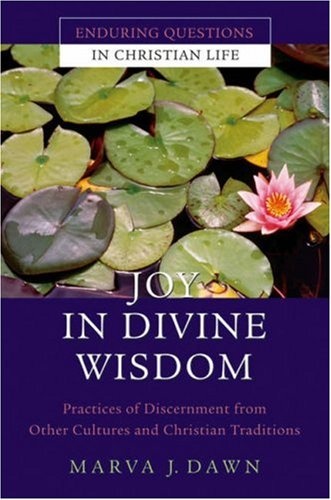 Joy in Divine Wisdom: Practices of Discernment from Other Cultures and Christian Traditions (Enduring Questions in Christian Life)
