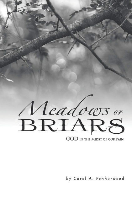 Meadows or Briars: GOD in the Midst of Our Pain