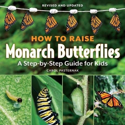 How to Raise Monarch Butterflies: A Step-by-Step Guide for Kids (How It Works)