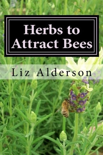 Herbs to Attract Bees