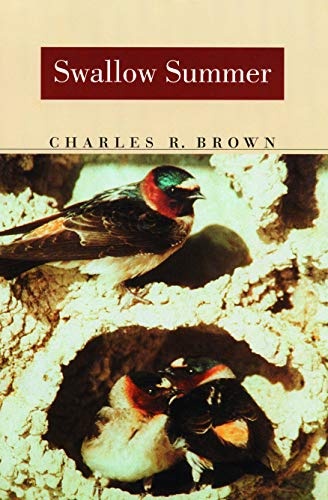 Swallow Summer (Bison Book)