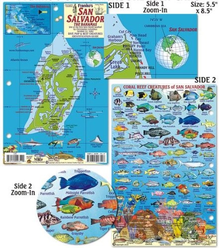 San Salvador Island Bahamas Dive Map & Reef Creatures Guide Franko Maps Laminated Fish Card