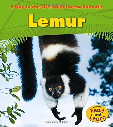 Lemur (A Day in the Life: Rain Forest Animals)