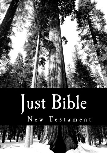 Just Bible: New Testament