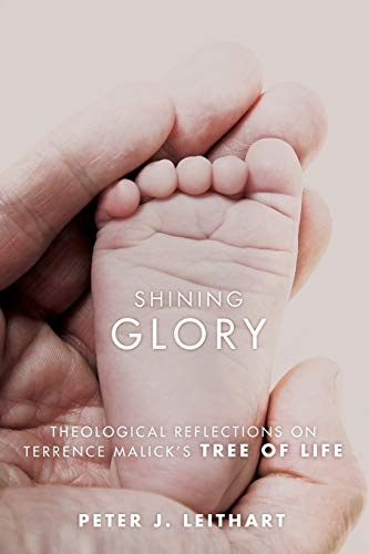 Shining Glory: Theological Reflections on Terrence Malick's Tree of Life
