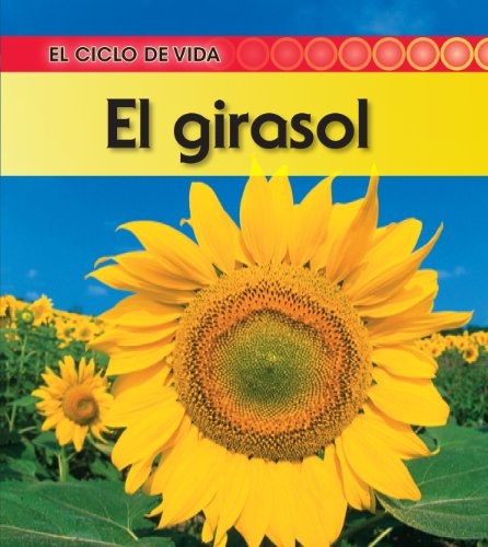 El girasol (El ciclo de vida) (Spanish Edition)