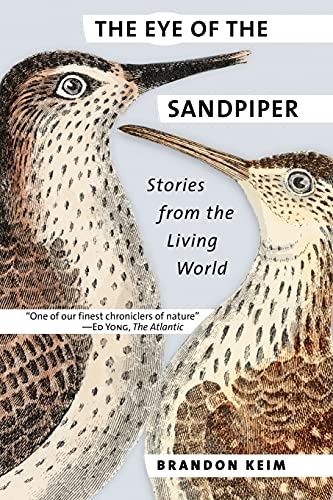 The Eye of the Sandpiper: Stories from the Living World
