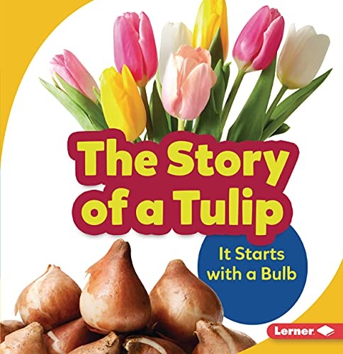 The Story of a Tulip: It Starts with a Bulb (Step by Step)