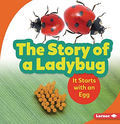 The Story of a Ladybug: It Starts with an Egg (Step by Step)