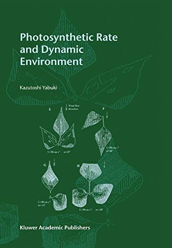 Photosynthetic Rate and Dynamic Environment