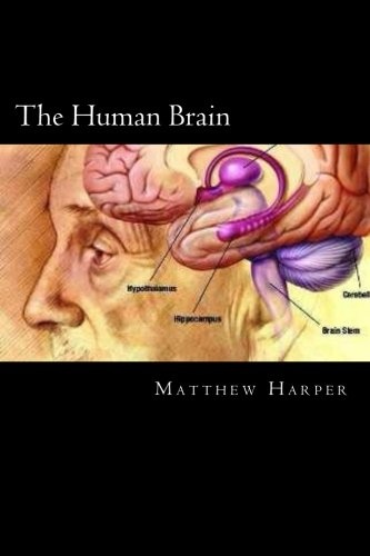 The Human Brain: A Fascinating Book Containing Human Brain Facts, Trivia, Images & Memory Recall Quiz: Suitable for Adults & Children (Matthew Harper)