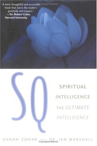 SQ: Connecting With Our Spiritual Intelligence