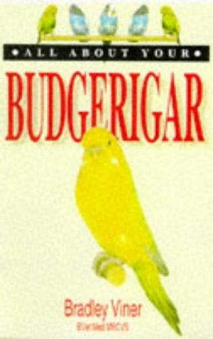 All About Your Budgerigar (All About Your...Series)
