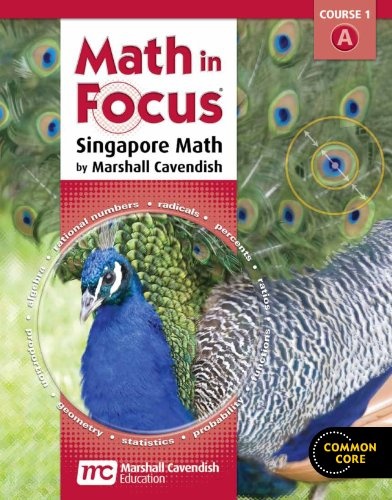 Math in Focus Homeschool Package, 1st Semester Grade 6