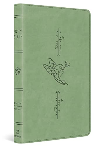 ESV Kid's Thinline Bible (TruTone, Bird of the Air)