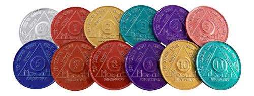 Set of 12 Aluminum AA Medallions Chips 24 Hours Months 1-11 Alcoholics Anonymous Medallion Chip Bulk Lot