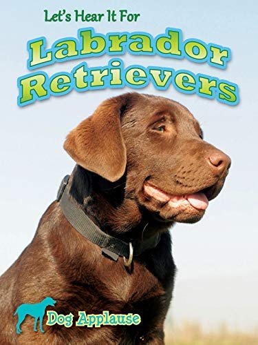 Let's Hear It For Labrador Retrievers (Dog Applause)