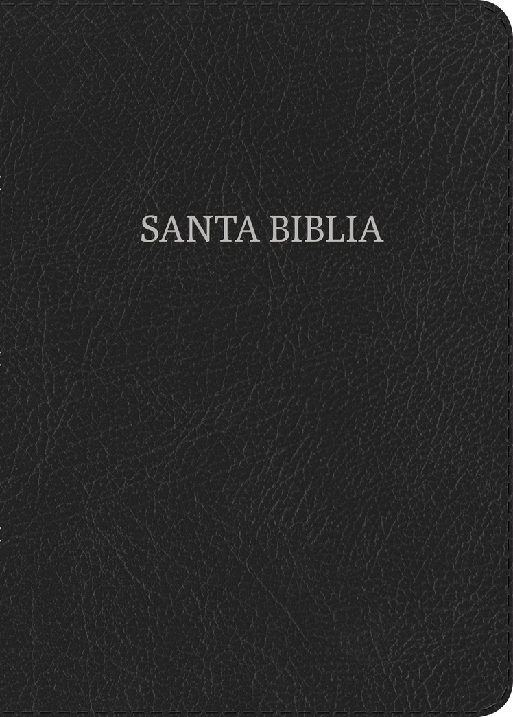 Biblia Nueva Versión Internacional Letra Súper Gigante negro, piel fabricada / Super Giant Print Bible NVI , Black, Bonded Leather (Spanish Edition)