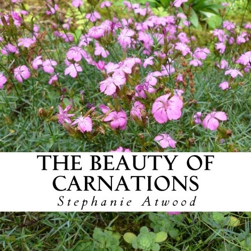 The Beauty of Carnations: A text-free book for Seniors and Alzheimer's patients